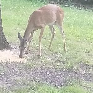 Meet your Posher, Tina